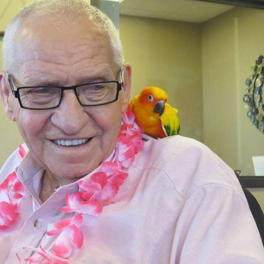 Elderly man with parrot on shoulder